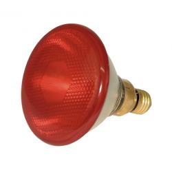 Lampade riscaldanti per animali
