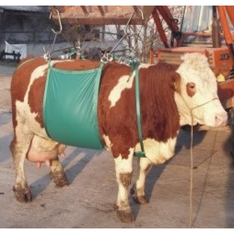 Выросла корова. Подъемник для коров универсальный Vink, до 1500 кг. Приспособления для КРС. Приспособления для подъема КРС.