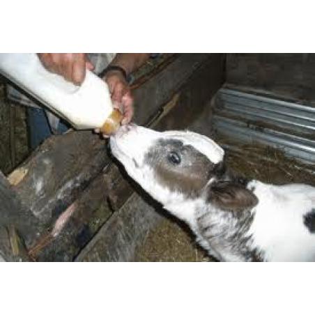 Biberon per vitelli - CT series - Calf-Tel - L.T. Hampel GmbH