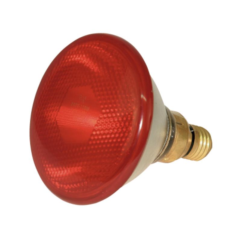 Lampada Eurofarm rossa riscaldante - Medistore Variante Lampada da