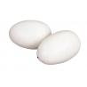 3972279 uova artificiali galline