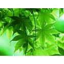 6995038
