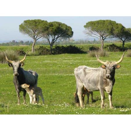 Tester misuratore tensione recinti recinzione elettrifica per animali 10000v
