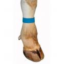 6005003 fascetta podale strappo velcro