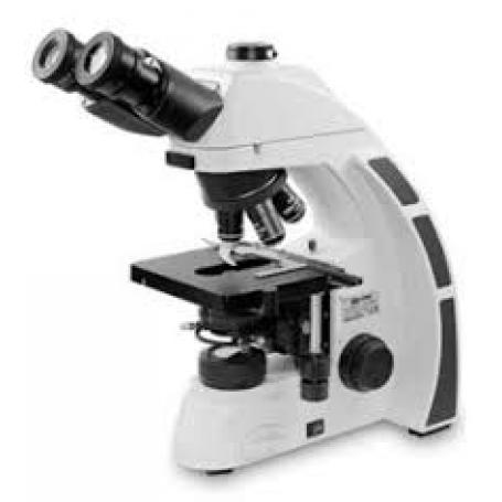3947051 microscopio trinoculare b5