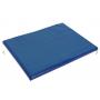 4981040 tappetino disinfettante