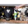 3967055 flacone cura mammella rinfrescante biologico bovine latte1