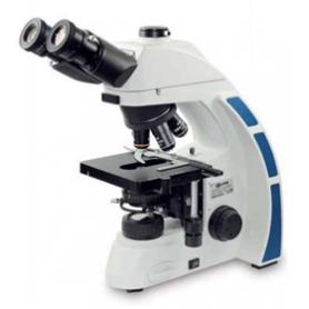 3947051 microscopiob5 trioculare