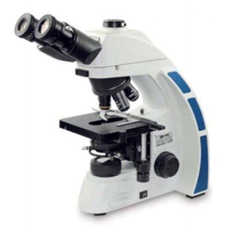 3947051 microscopiob5 trioculare