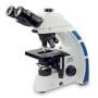 3947051 microscopiob5 trioculare