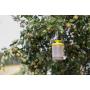 4982067 trappola per mosche flycage33