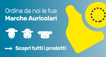 Marche auricolari