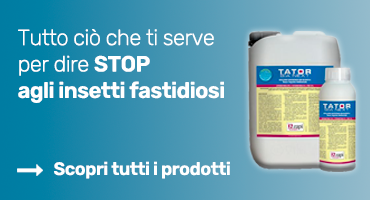 Insetticidi
