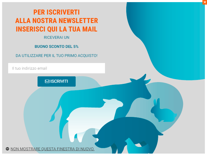 Iscrizione newsletter - Metodo 1