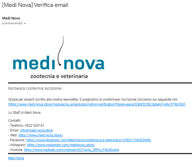 Verifica email newsletter