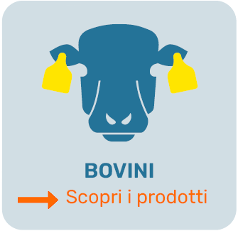 Scopri i prodotti per bovini