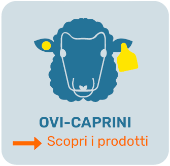 Scopri i prodotti per ovi-caprini