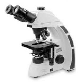 Microscopio B5 trioculare